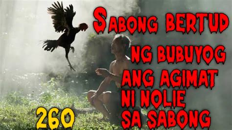 bertud ng bubuyog|Kagat ng bubuyog o putakte .